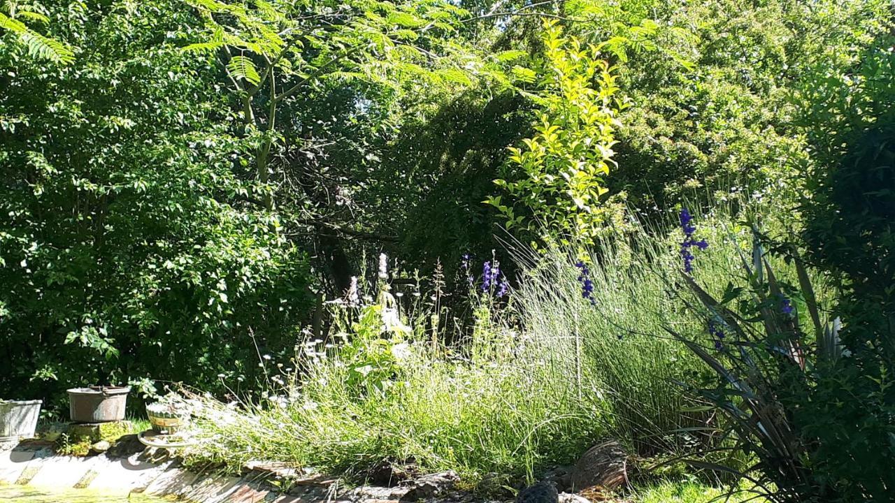 ViozanAsinus 32住宿加早餐旅馆 外观 照片