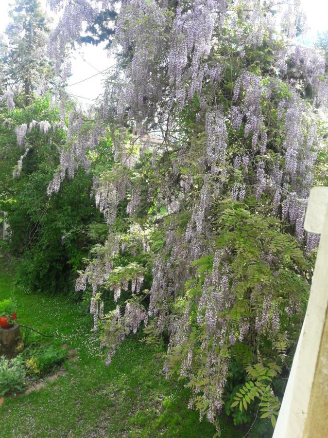 ViozanAsinus 32住宿加早餐旅馆 外观 照片